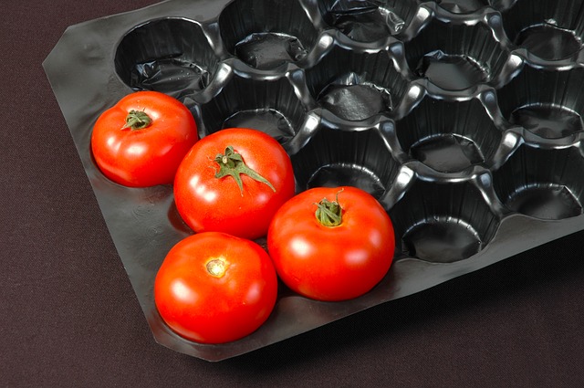 tomates standardisées légumes moches