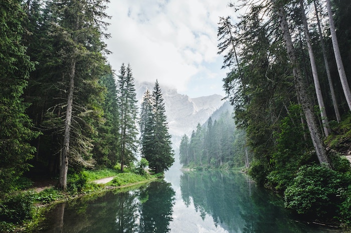 S’accorder le droit de changer (et rester en cohérence avec soi)