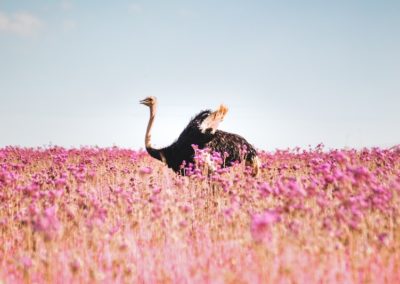 Entreprendre autrement : partage tes idées pour nourrir les imaginaires !