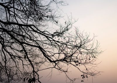 Accepter la fin des choses