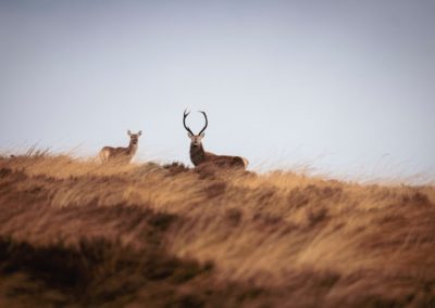 L’art subtil de jouer selon ses propres règles