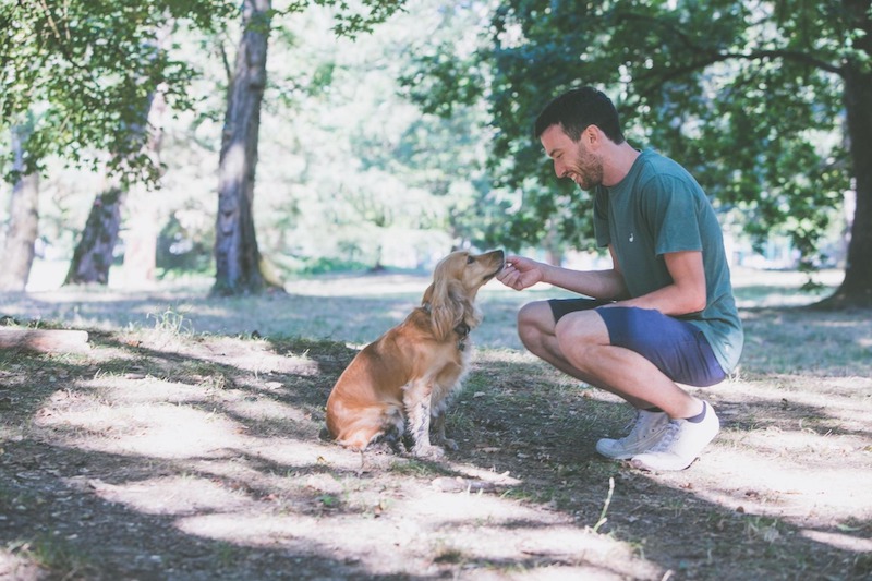 Comment débuter son activité sans les réseaux sociaux ?