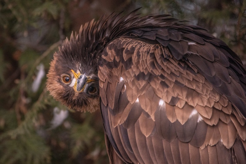 Ne jamais abandonner… ? Mais quelle connerie