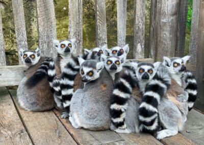 Comment animer une réunion qui garde tout le monde éveillé ?