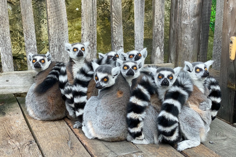 Comment animer une réunion qui garde tout le monde éveillé ?